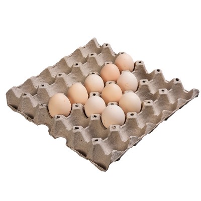 Paper Maker paper egg tray serving carton food packaging disposable trays buffet snack dinner design