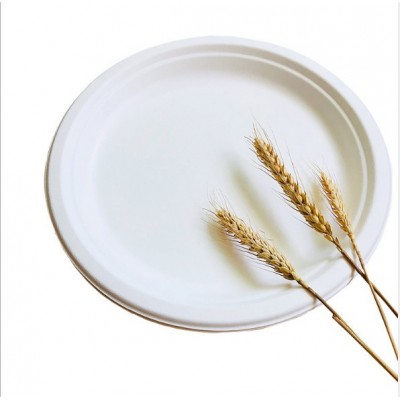 Eco friendly biodegradable sugarcane plates bagasse disposable paper plate